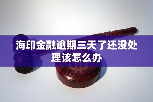 海印金融逾期三天了還沒(méi)處理該怎么辦