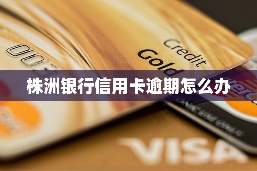 株洲銀行信用卡逾期怎么辦