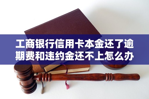 工商銀行信用卡本金還了逾期費和違約金還不上怎么辦