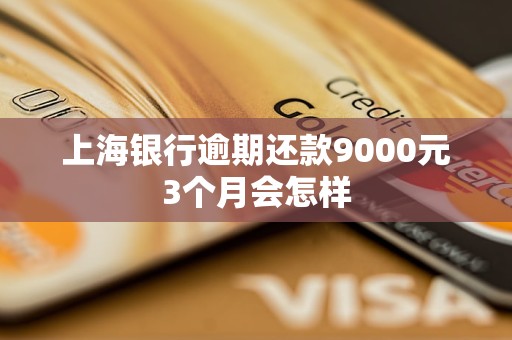 上海銀行逾期還款9000元3個(gè)月會(huì)怎樣