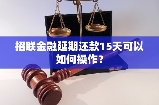 招聯(lián)金融延期還款15天可以如何操作？