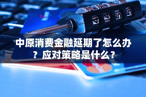 中原消費(fèi)金融延期了怎么辦？應(yīng)對(duì)策略是什么？