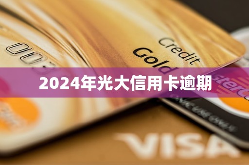 2024年光大信用卡逾期