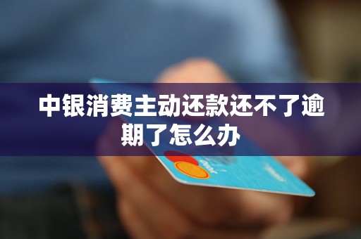 中銀消費主動還款還不了逾期了怎么辦