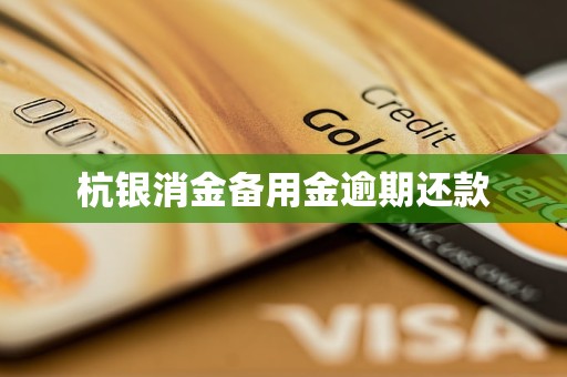 杭銀消金備用金逾期還款