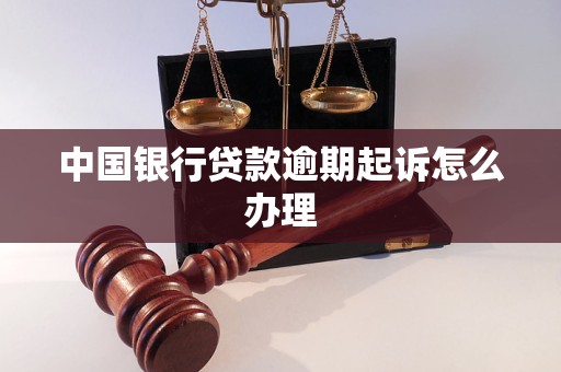 中國銀行貸款逾期起訴怎么辦理