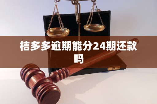 桔多多逾期能分24期還款嗎