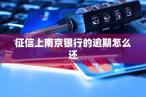 征信上南京銀行的逾期怎么還