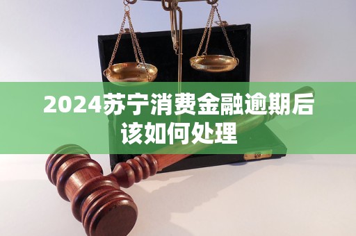 2024蘇寧消費金融逾期后該如何處理