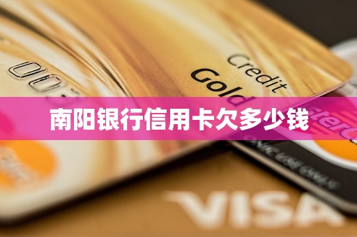 南陽銀行信用卡欠多少錢