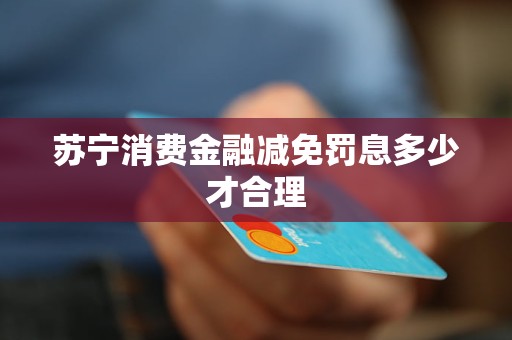 蘇寧消費(fèi)金融減免罰息多少才合理