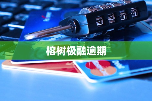 榕树极融逾期 榕树极融逾期