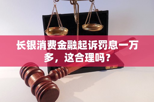 長(zhǎng)銀消費(fèi)金融起訴罰息一萬多，這合理嗎？