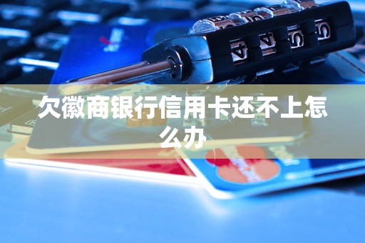 欠徽商銀行信用卡還不上怎么辦