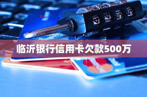 臨沂銀行信用卡欠款500萬