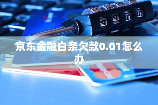 京東金融白條欠款0.01怎么辦