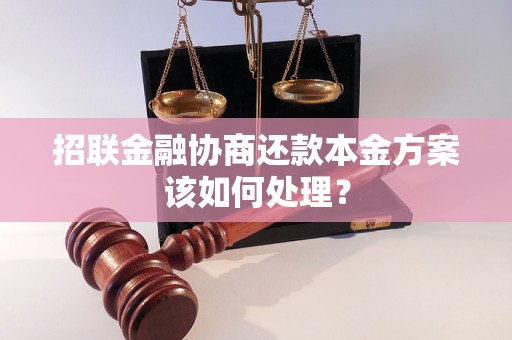 招聯(lián)金融協(xié)商還款本金方案該如何處理？