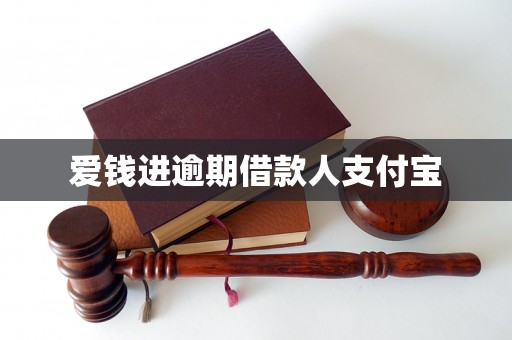 爱钱进逾期借款人支付宝