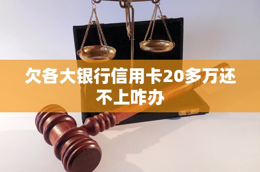 欠各大銀行信用卡20多萬還不上咋辦