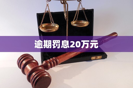 逾期罰息20萬元