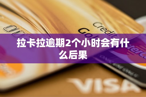 支付品牌pos排行榜_支付平台poss机排名_pos机有支付品牌的