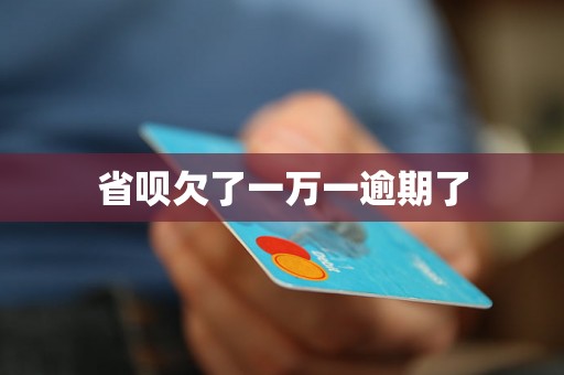 省呗欠了一万一逾期了