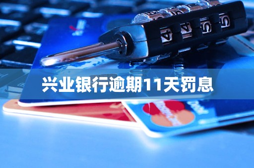 興業(yè)銀行逾期11天罰息