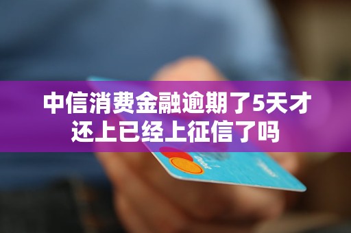 逾期五天会上征信吗(贷款逾期五天会上征信吗)