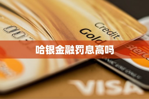 哈銀金融罰息高嗎