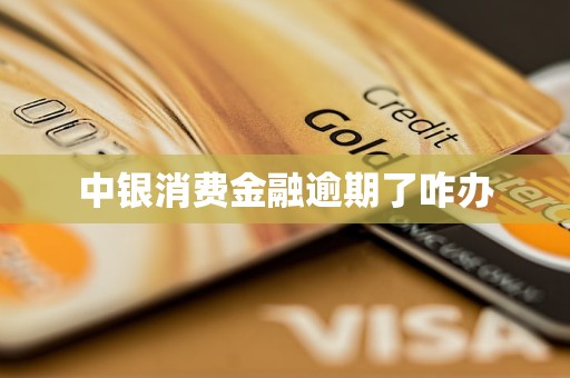 中銀消費金融逾期了咋辦