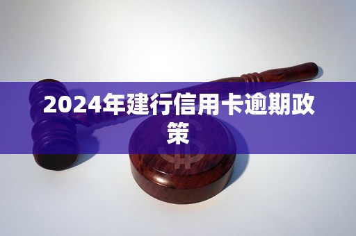 2024年建行信用卡逾期政策