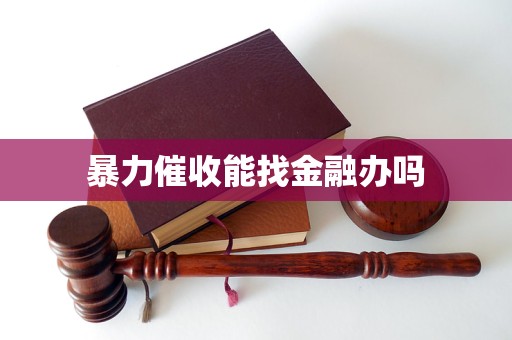 暴力催收能找金融辦嗎