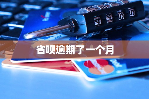 省呗逾期了一个月
