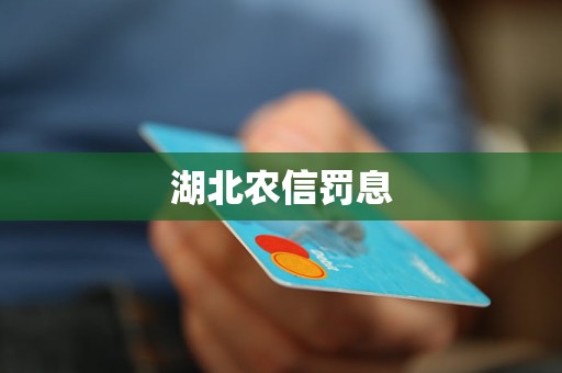 湖北農(nóng)信罰息