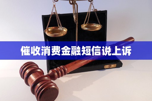 催收消費(fèi)金融短信說上訴