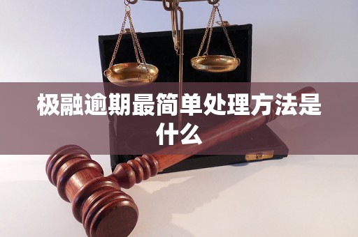 极融逾期最简单处理方法是什么 极融逾期最简单处理方法是什么