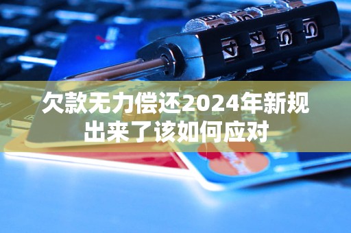 欠款无力偿还2024年新规出来了该如何应对