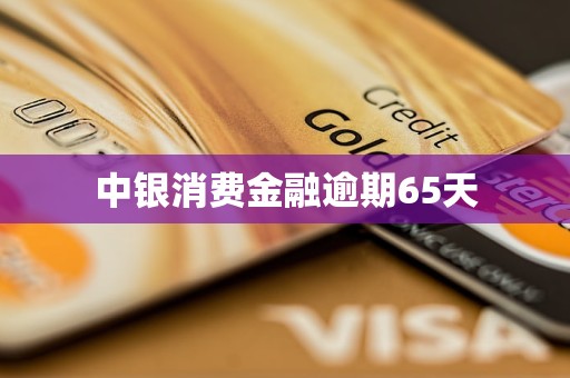 中銀消費(fèi)金融逾期65天