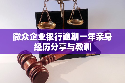 微眾企業(yè)銀行逾期一年親身經(jīng)歷分享與教訓(xùn)