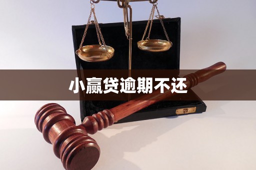 小赢贷逾期不还