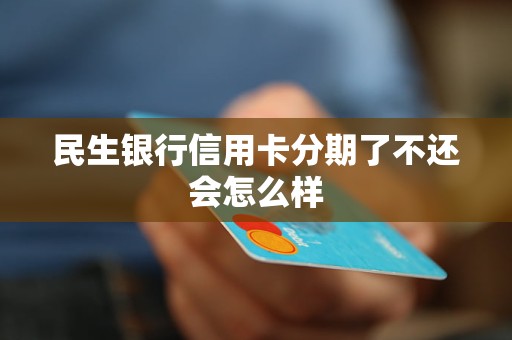 民生全民乐分期是到信用卡还是储蓄卡(民生全民乐分期多久到账周6周日有影响吗)