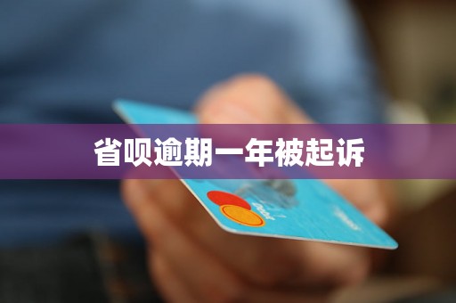 省呗逾期一年被起诉
