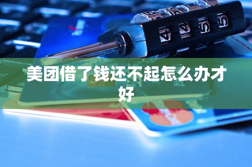 美团借了钱还不起怎么办才好