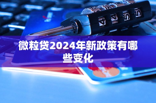 微粒貸2024年新政策有哪些變化