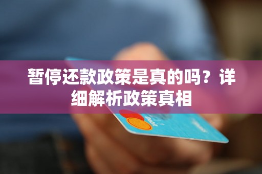 暂停还款政策是真的吗？详细解析政策真相