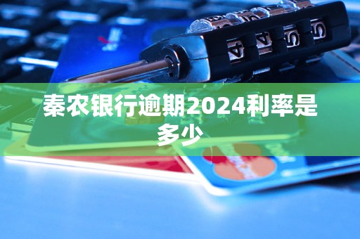 秦農銀行逾期2024利率是多少