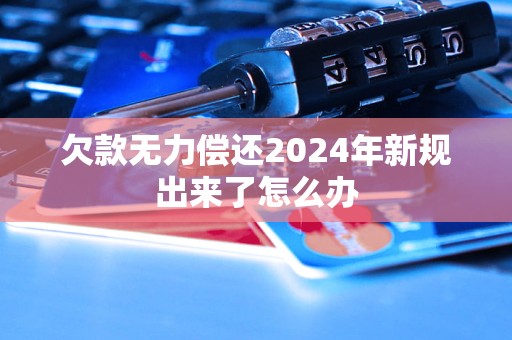 欠款無力償還2024年新規(guī)出來了怎么辦