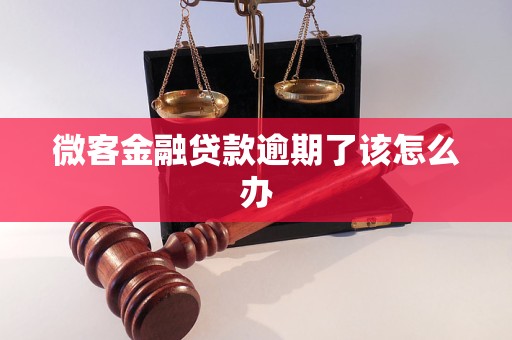 微客金融貸款逾期了該怎么辦