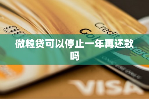 微粒贷可以停止一年再还款吗 微粒贷可以停止一年再还款吗