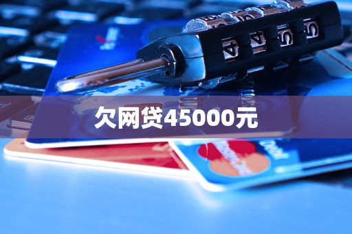 欠網(wǎng)貸45000元